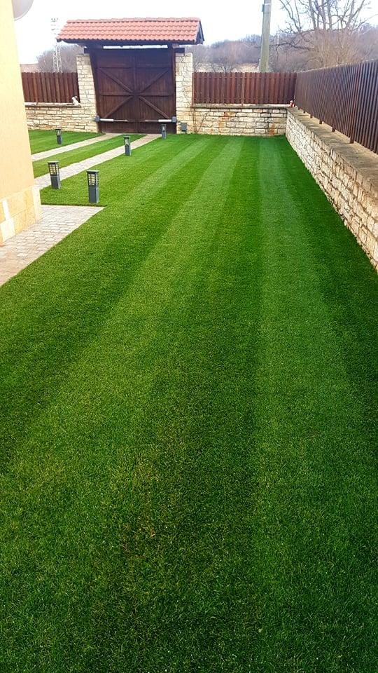 Снимки Галерия